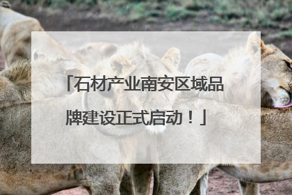 石材产业南安区域品牌建设正式启动！