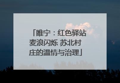 睢宁：红色驿站麦浪闪烁 苏北村庄的温情与治理