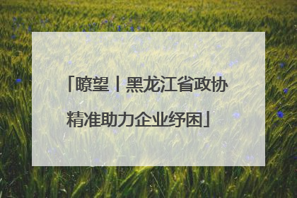 瞭望丨黑龙江省政协精准助力企业纾困