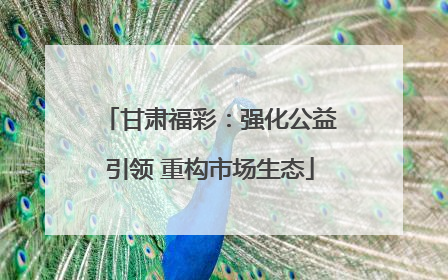 甘肃福彩：强化公益引领 重构市场生态