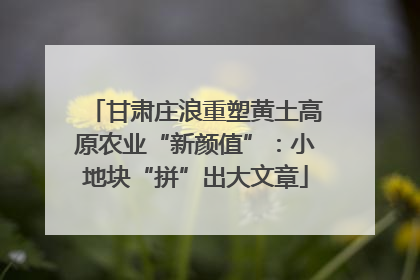 甘肃庄浪重塑黄土高原农业“新颜值”：小地块“拼”出大文章