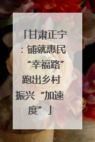 甘肃正宁：铺就惠民“幸福路” 跑出乡村振兴“加速度”