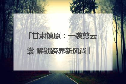 甘肃镇原：一袭剪云裳 解锁跨界新风尚