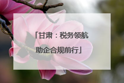 甘肃：税务领航 助企合规前行
