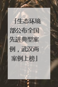 生态环境部公布全国先进典型案例，武汉两案例上榜