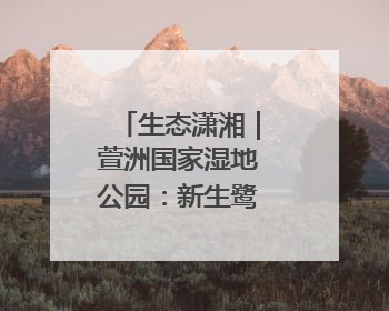 生态潇湘｜萱洲国家湿地公园：新生鹭鸟振翅欲飞