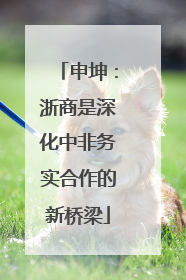 申坤：浙商是深化中非务实合作的新桥梁