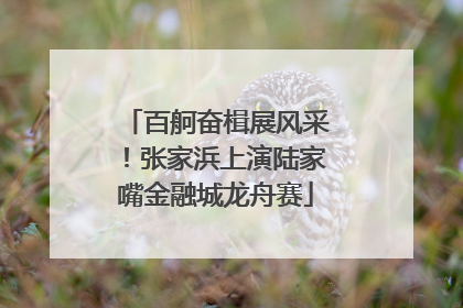 百舸奋楫展风采！张家浜上演陆家嘴金融城龙舟赛