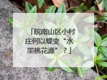 皖南山区小村庄何以蝶变“水墨桃花源”？