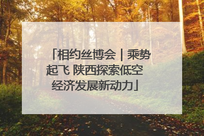 相约丝博会｜乘势起飞 陕西探索低空经济发展新动力