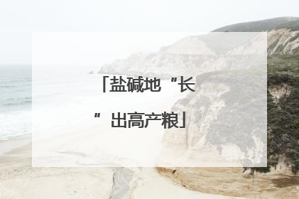 盐碱地“长”出高产粮