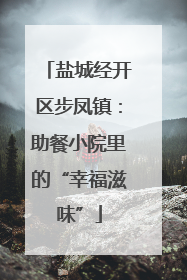 盐城经开区步凤镇：助餐小院里的“幸福滋味”