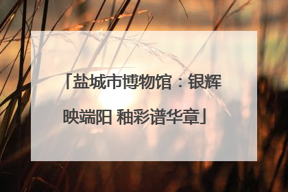 盐城市博物馆：银辉映端阳 釉彩谱华章