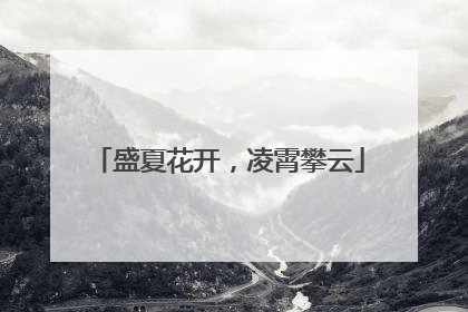 盛夏花开，凌霄攀云