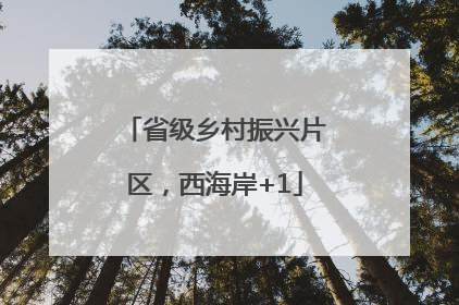 省级乡村振兴片区，西海岸+1