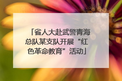 省人大赴武警青海总队某支队开展“红色革命教育”活动