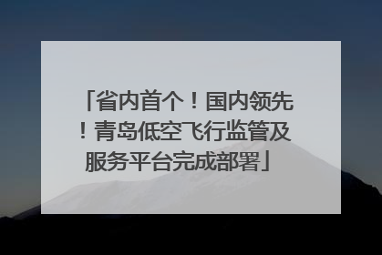 省内首个！国内领先！青岛低空飞行监管及服务平台完成部署