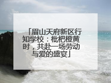 眉山天府新区行知学校：枇杷橙黄时，共赴一场劳动与爱的盛宴