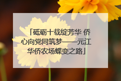 砥砺十载绽芳华 侨心向党同筑梦——元江华侨农场蝶变之路