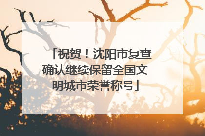 祝贺！沈阳市复查确认继续保留全国文明城市荣誉称号