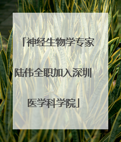 神经生物学专家陆伟全职加入深圳医学科学院