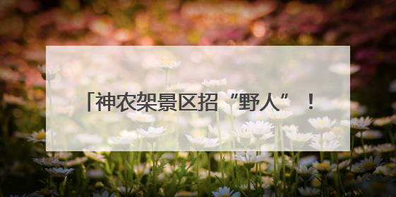 神农架景区招“野人”！日薪500元，已有近4000人报名，工作职责包括“接受游客投喂”