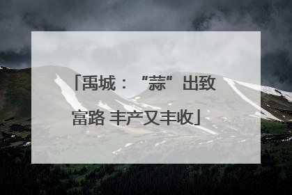 禹城：“蒜”出致富路 丰产又丰收