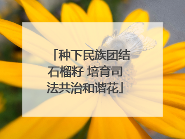 种下民族团结石榴籽 培育司法共治和谐花