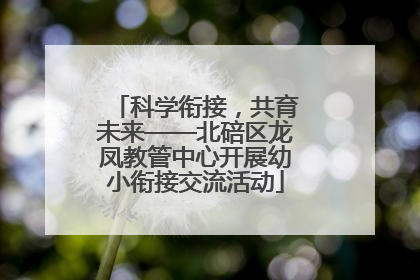 科学衔接，共育未来——北碚区龙凤教管中心开展幼小衔接交流活动