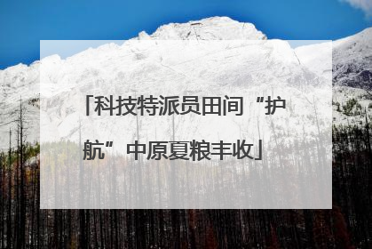 科技特派员田间“护航”中原夏粮丰收