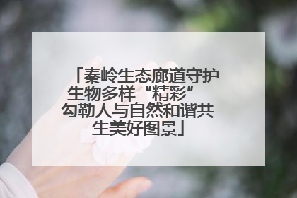 秦岭生态廊道守护生物多样“精彩” 勾勒人与自然和谐共生美好图景