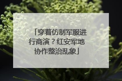 穿着仿制军服进行商演？红安军地协作整治乱象