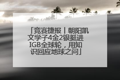 竞赛捷报丨朝阳凯文学子4金2银挺进IGB全球轮，用知识回应地球之问