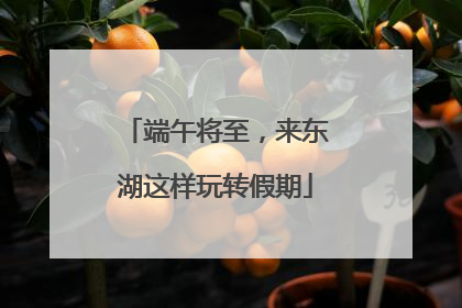 端午将至，来东湖这样玩转假期