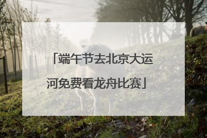 端午节去北京大运河免费看龙舟比赛