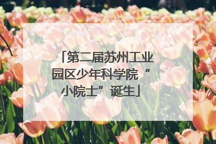 第二届苏州工业园区少年科学院“小院士”诞生