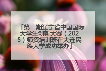 第二期辽宁省中国国际大学生创新大赛（2025）师资培训班在大连民族大学成功举办