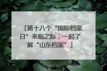 第十八个“国际档案日”来临之际，一起了解“山东档案”