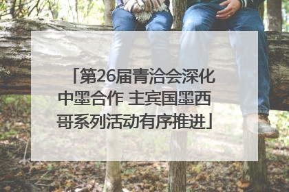 第26届青洽会深化中墨合作 主宾国墨西哥系列活动有序推进