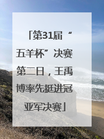 第31届“五羊杯”决赛第二日，王禹博率先挺进冠亚军决赛