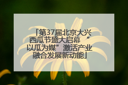 第37届北京大兴西瓜节盛大启幕 “以瓜为媒”激活产业融合发展新动能