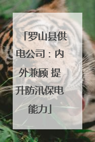 罗山县供电公司：内外兼顾 提升防汛保电能力