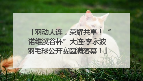 羽动大连，荣耀共享！“诺维溪谷杯”大连·李永波羽毛球公开赛圆满落幕！