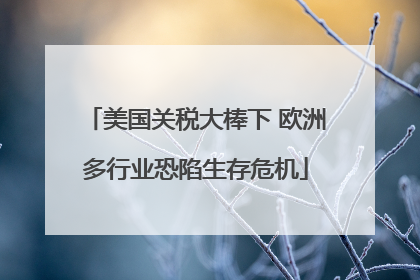 美国关税大棒下 欧洲多行业恐陷生存危机
