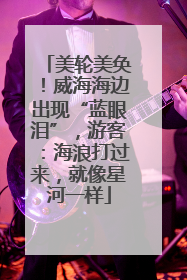 美轮美奂！威海海边出现“蓝眼泪”，游客：海浪打过来，就像星河一样