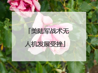 美陆军战术无人机发展受挫