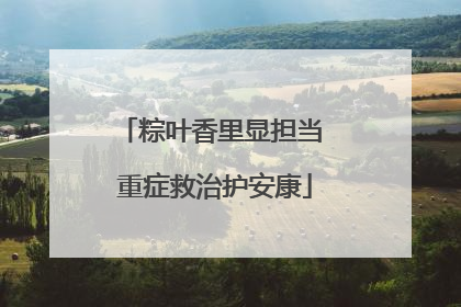 粽叶香里显担当 重症救治护安康