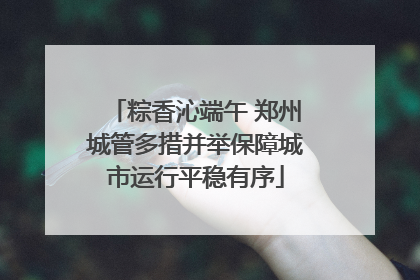 粽香沁端午 郑州城管多措并举保障城市运行平稳有序