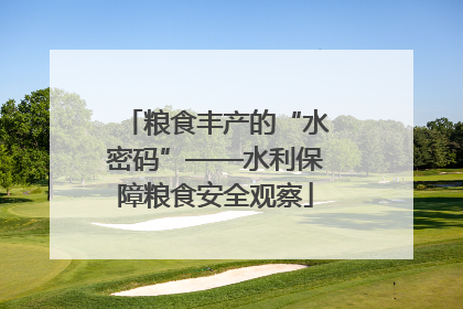 粮食丰产的“水密码”——水利保障粮食安全观察