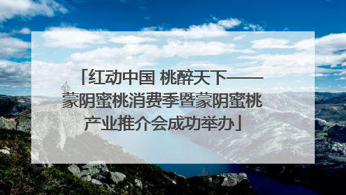 红动中国 桃醉天下——蒙阴蜜桃消费季暨蒙阴蜜桃产业推介会成功举办